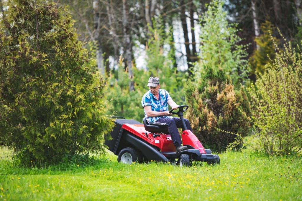 Professional Lawn Care Services