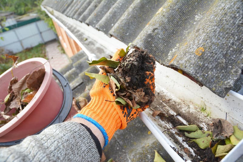 Roof Washing Company