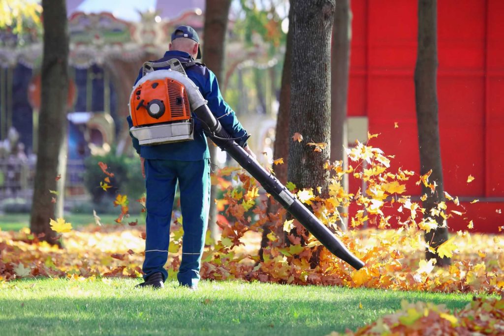 Professional Cleaning Services