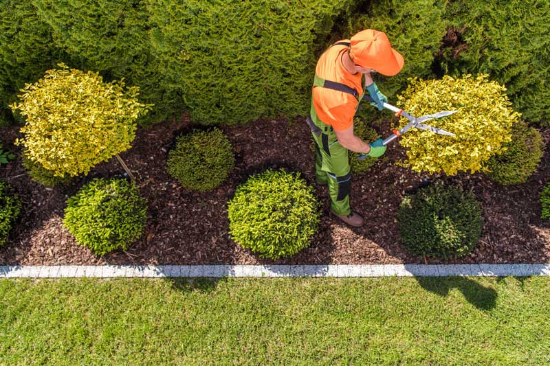 Landscapers Wellington