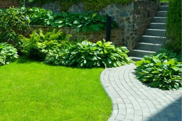 Collaborative Approach of landscaping