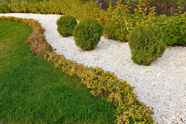 Experience and Expertise in Landscaping