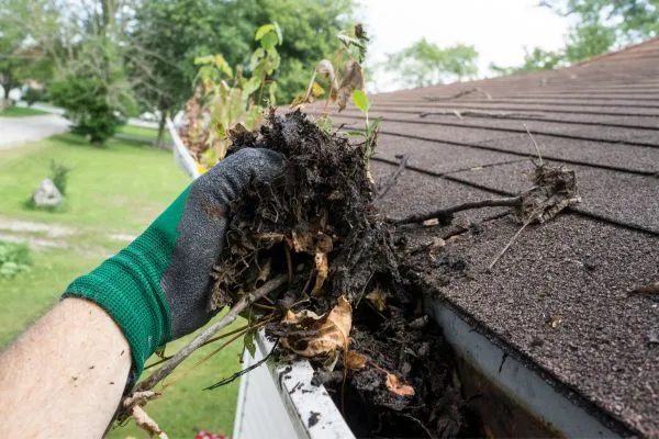 Gutter Cleaning and Brightening service in winterville