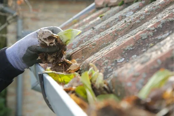 Gutter Cleaning new bern Nc