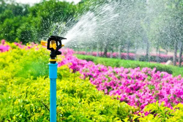 Irrigation Systems in Bethel NC