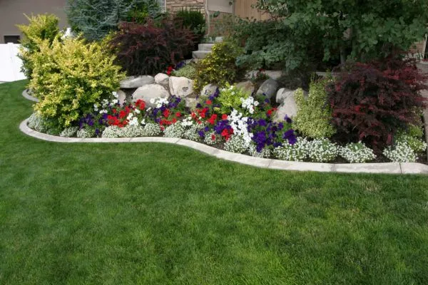 Landscape Designing Winterville nc