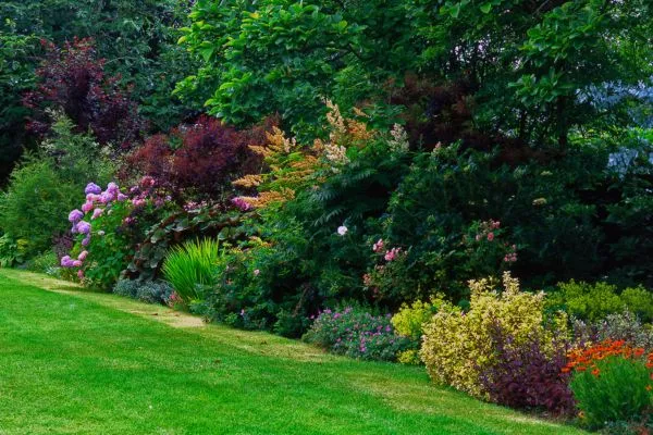 Lawn Care Achieve a Lush Green Landscape