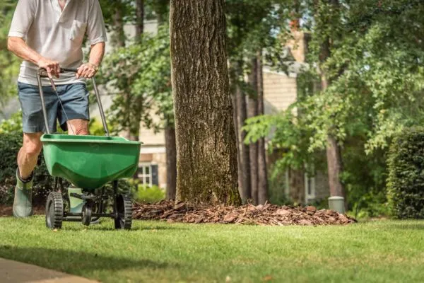 Lawn Care & Maintenance in Sims NC