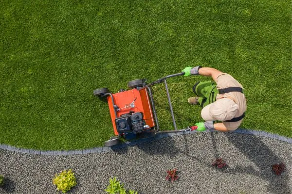Lawn Mowing Services in grifton nc