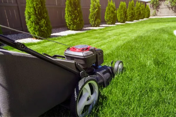 Lawn Mowing service in New Bern NC