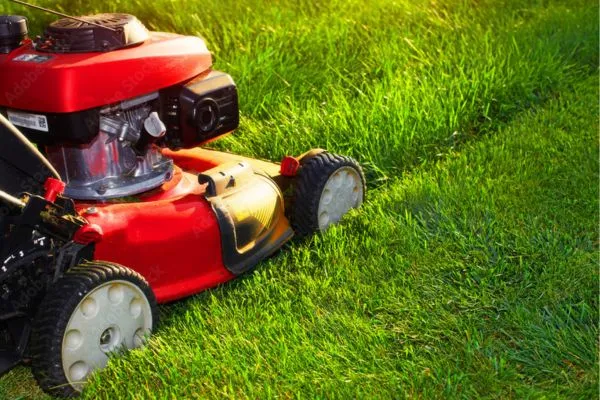 Lawn Mowing service in Wilson NC