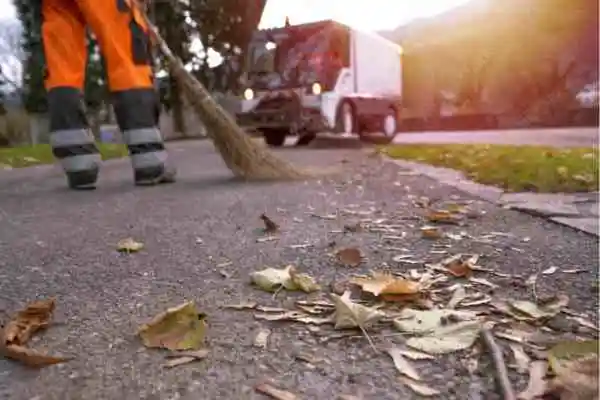 Leaf Removal service in grimesland NC