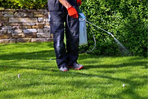 Pest Control service in Grimesland NC