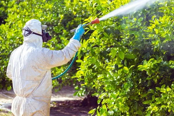 Pest and Weed Control service in New Bern NC