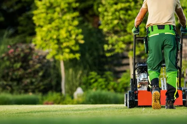 Professional Lawn Mowing Rocky Mount NC