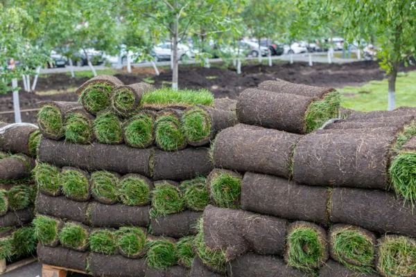 Sod Enhanced Curb Appeal and Property Value
