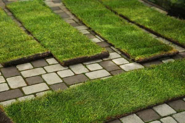 Sod Installation