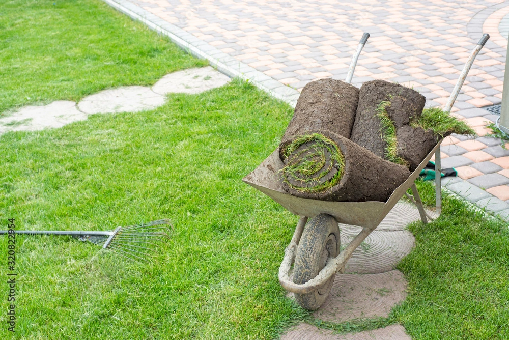Sod Selection for installation in Sims NC