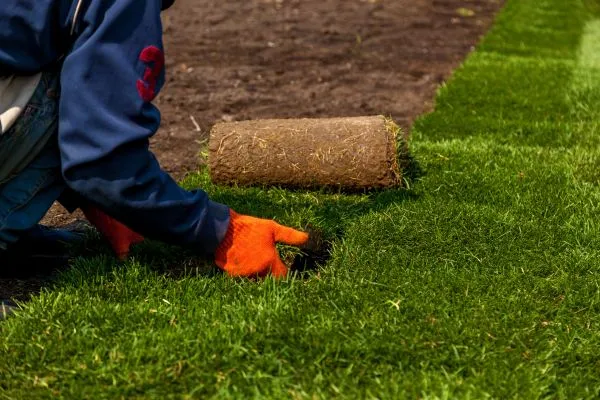 Sod installation is Time Efficiency