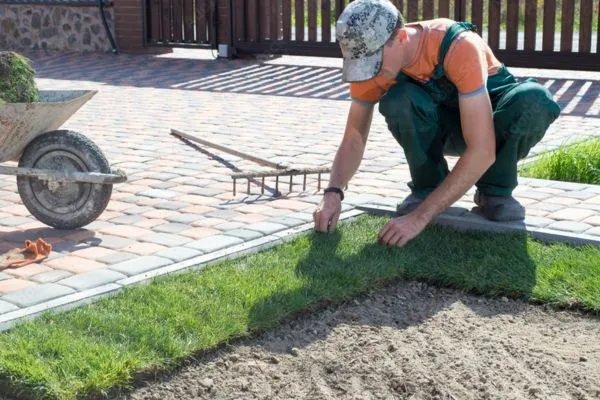 sod control weeds