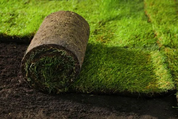 sod installation provide Instant Results