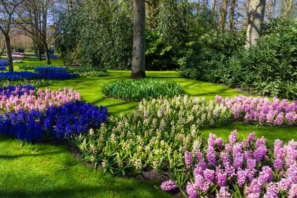 Garden Designing service in Goldsboro NC