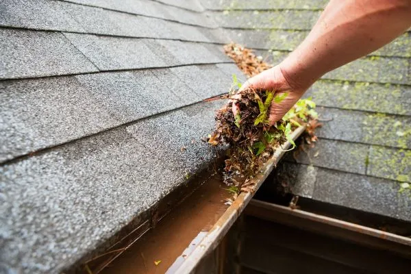 Gutter Cleaning in Raleigh NC