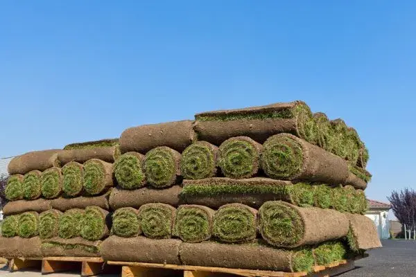 High-Quality Sod Products in Chocowinity NC