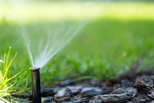 Irrigation Systems in Goldsboro NC
