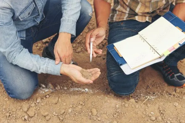 Knowledge of Local Climate and Soil Conditions in Rocky Mount NC