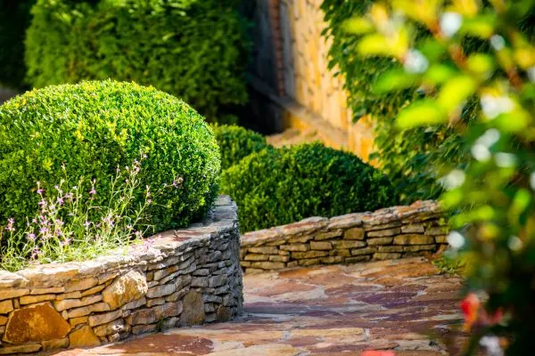 Landscape Design Raleigh NC