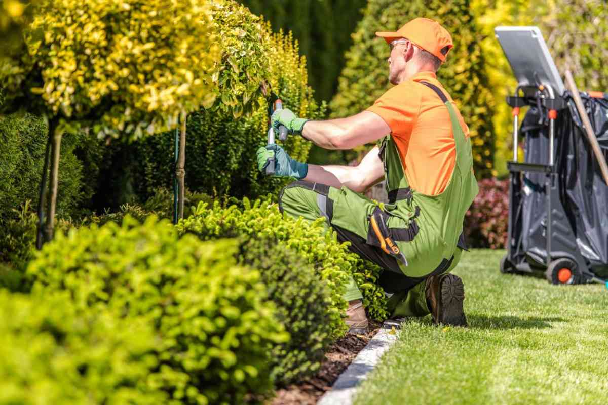 Landscaper in North carolina