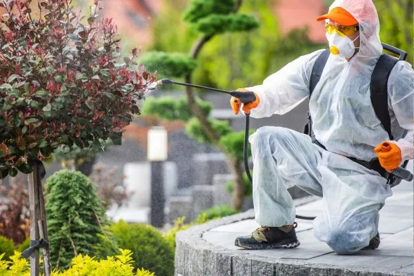 Pest Control in Belmont NC
