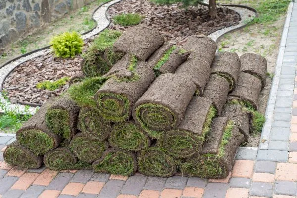 Premium Quality Sod Selection in Bethel NC