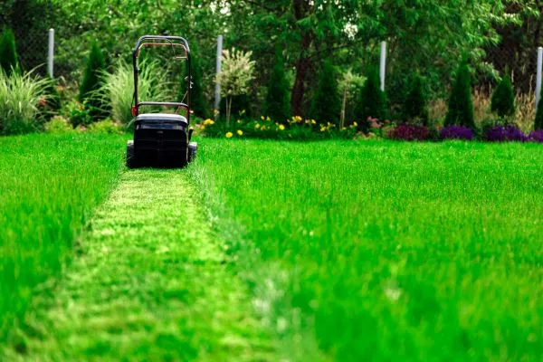 Professional Mowing in Raleigh NC
