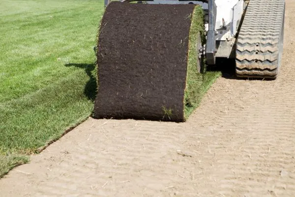 Quality Materials & Equipment for sod installation