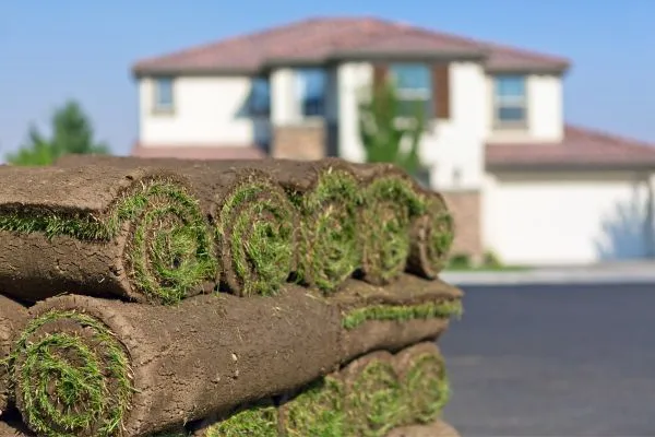 Quality Sod Selection