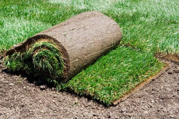 Sod Delivery & Installation