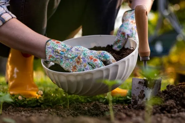 Soil Amendment