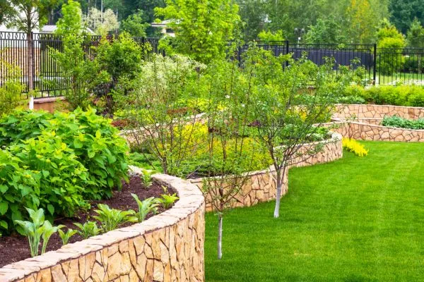 landscape Adding Value and Curb Appeal