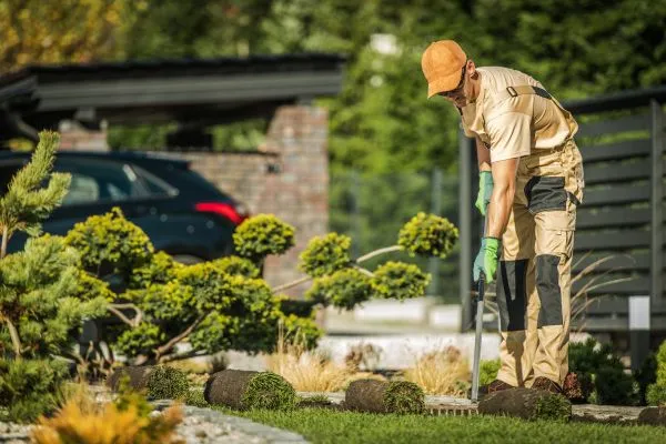 landscaping Maintenance in Farmville NC