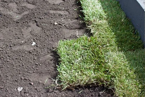 sod Erosion Control