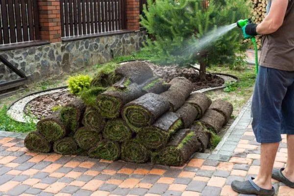 sod Installation Care and Maintenance