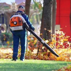 Professional Cleaning Services